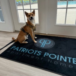 a dog sitting on a rug next to a door